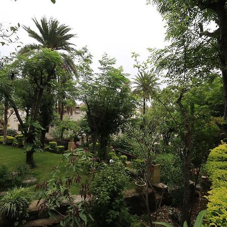 Hotel Maganji'S Mount Abu Exterior foto